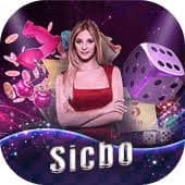 vcity66